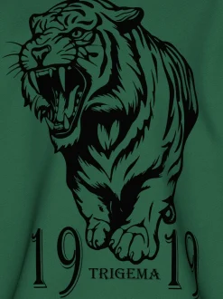 Hoodie mit großem Tiger-Printmotiv Efeu
