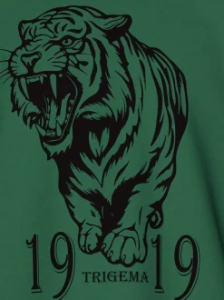 Langarmshirt mit großem Tiger-Printmotiv Efeu