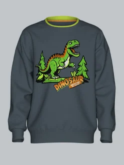 Sweatshirt mit großem Dino-Printmotiv Anthrazit